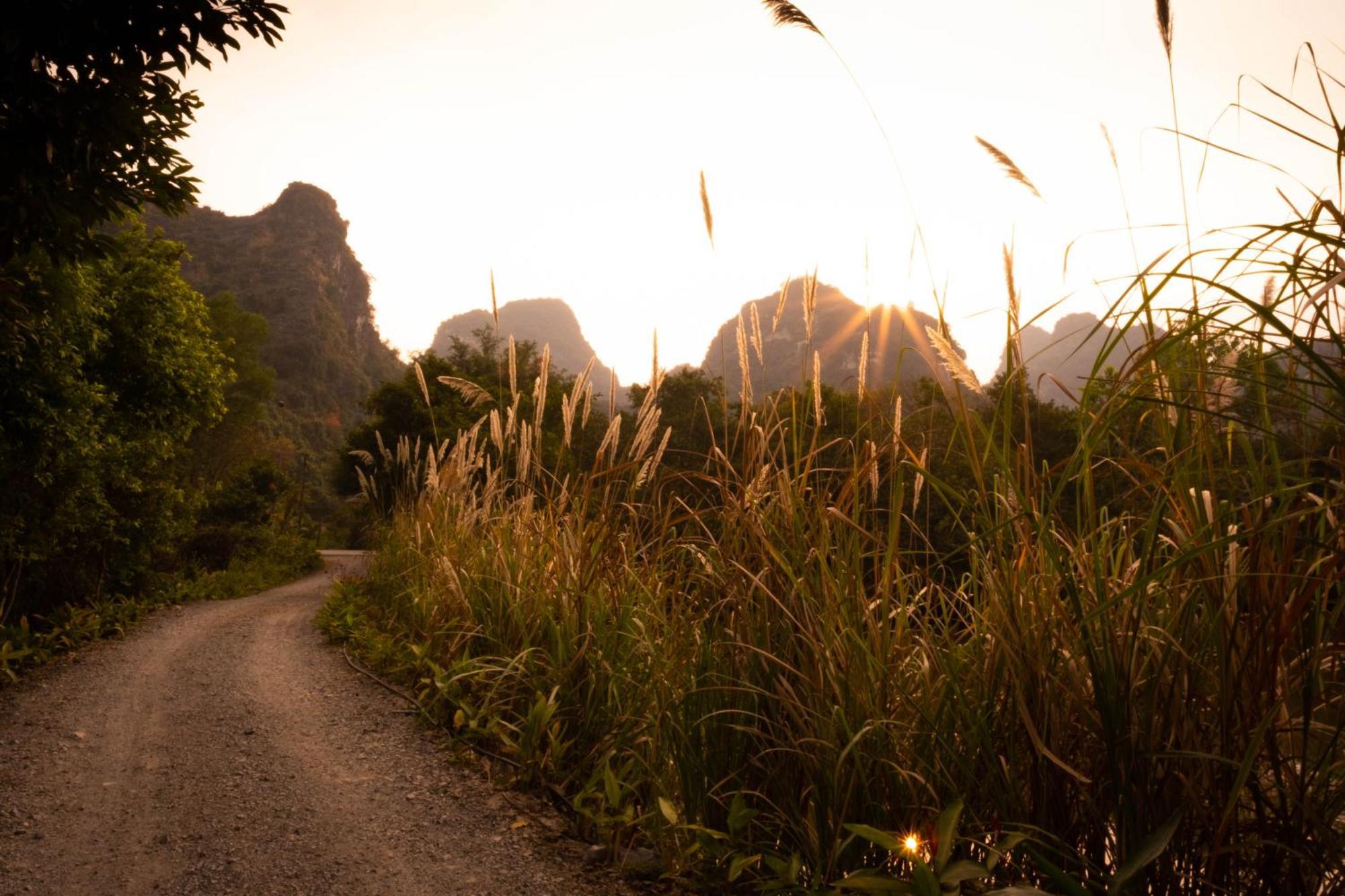 Trang An Ecolodge ニンビン エクステリア 写真